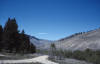 View looking north down the access road from the campsite toward Little Sheep Creek.