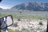 Moose at Dell with Dixon Mtn in the background