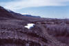 Scarp at the Red Rock fault, along Big Sheep Creek