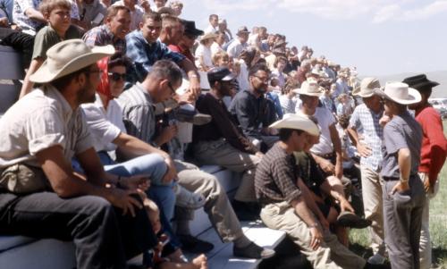 Penn Staters about to enter wild cow milking contest, Lima, Montana, 1962