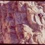 Scenic view at Field Camp 1981