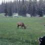 Wildlife visit during Field Camp