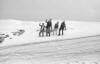 Snowball fight, Beartooth Plateau