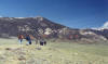 Clark's Fork Canyon