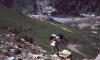 Alta overthrust project