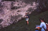 Alta overthrust project
