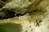 Black Hills pegmatite