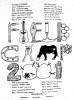 Back of T-shirt. Artwork by Jen Anthony