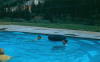 Derrill and the cook in the pool at the Alta Peruvian (see the Chess narrative)