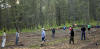 Yet another game of wiffle ball, Hebgen Lake campsite