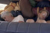 Dave E & John M, trip home