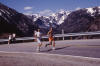 Beartooth race