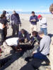 Trenching sands, Great Salt Lake