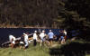 camp