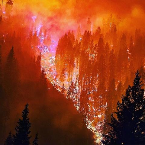 The River Complex fires burn in Klamath National Forest.
