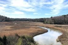 Coastal watershed dominated by the salt marsh creek-estuarine system of Taskinas Creek