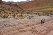 Researchers Joep van Dijk (left) and Alvaro Fernandez look for siderite minerals in the soils