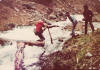 Jim falling off log, after crossing the stream. Steve and Randy M on bank