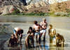 Wallowing in the drums sands along the Green River near Split Mtn Gorge, Dinosaur National Monument, near Vernal, Utah, 22 June 1980.  Left to right: Ron Eberly, Mark Stalter, Daver Kistner, Kirk Hardy, Jim Lehrman, Tom Panian, and unknown.